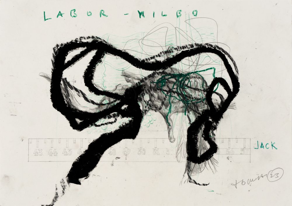 Milbo grün 7_2023_web