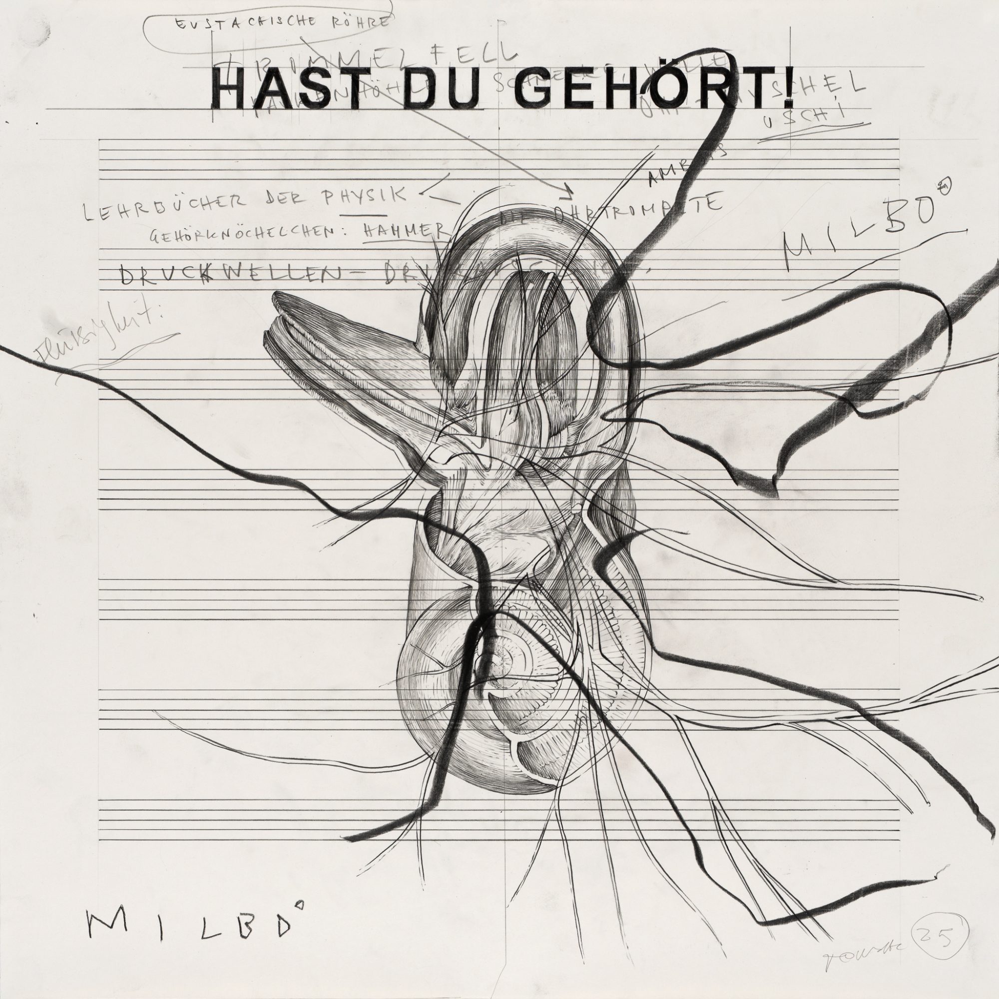 Jack 1_50x50cm_2025_web